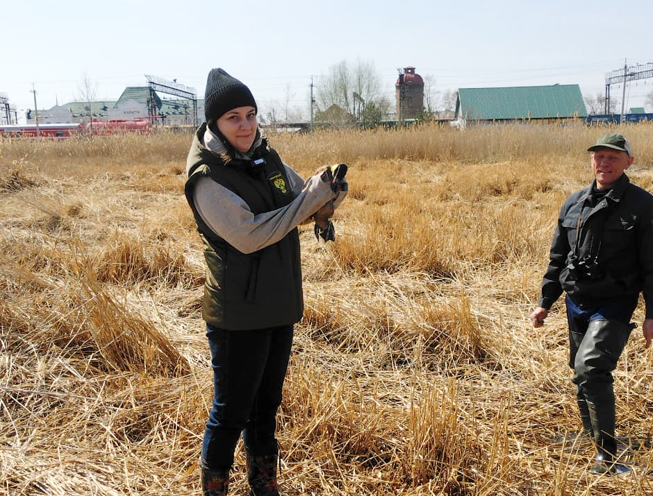 Инспектор Сибирского Росприроднадзора приняла участие в выпуске в естественную среду обитания 15 краснокнижных савок