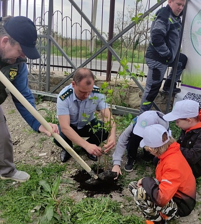 Сотрудники Росприроднадзора провели акцию по высадке деревьев в городе-герое Новороссийск в поддержку Международной премии «Экология – дело каждого»