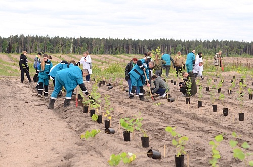Сотрудники Росприроднадзора приняли участие в мероприятиях, посвященных старту третьей очереди лесного климатического проекта, реализуемого в Воронеже
