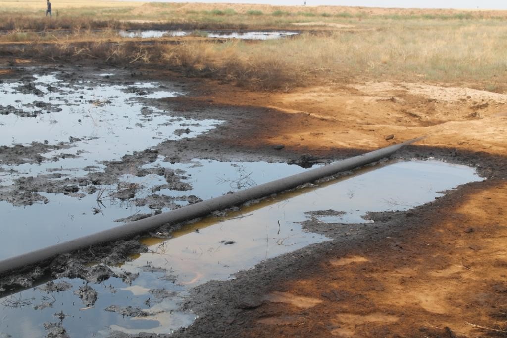 Арбитражный суд Северо-Кавказского округа поддержал требования Росприроднадзора к ООО «ЕвроСибОйл» о возмещении вреда, причиненного окружающей среде на сумму более 51 млн. рублей