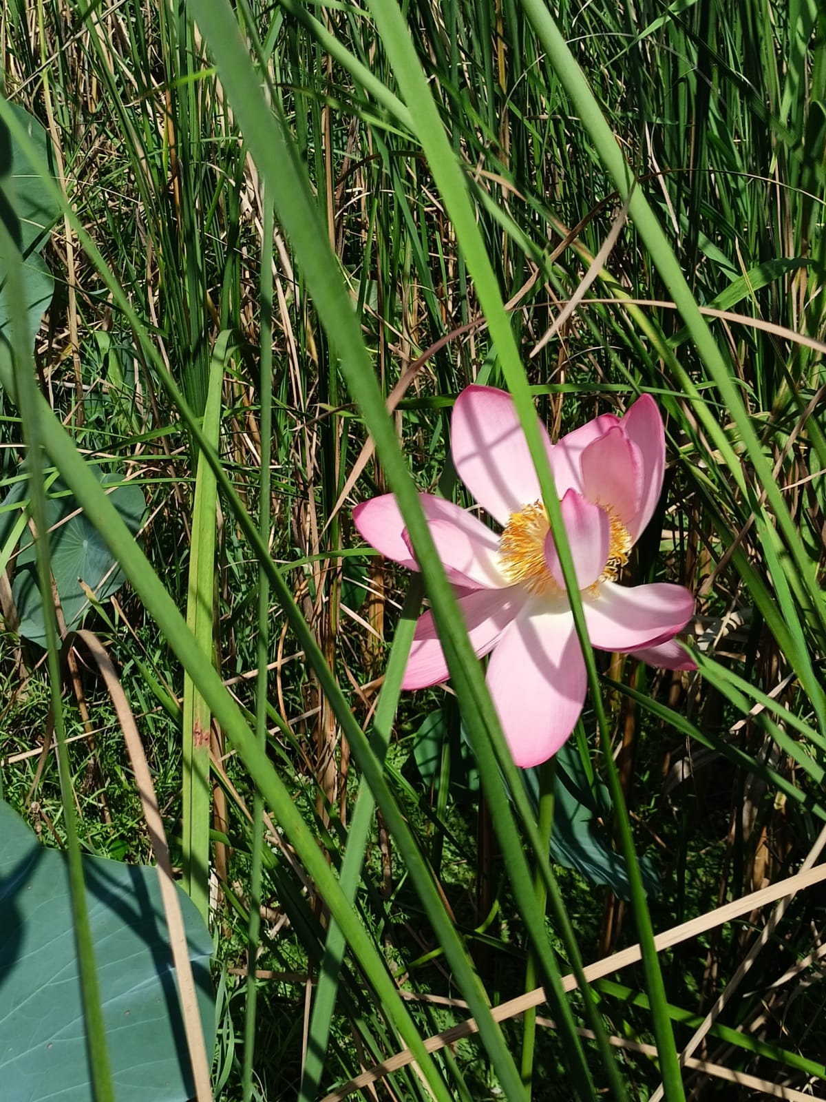 Сотрудники Межрегионального управления Росприроднадзора  поздравляют всех работников заповедников с их профессиональным праздником