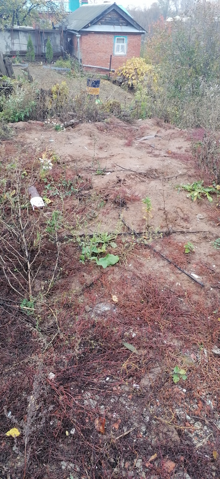 Московский районный суд г. Чебоксары взыскал с физлица около 60 тыс. руб. вреда, причиненного почвам