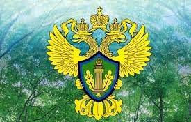 Нижегородский Росприроднадзор скорректировал план проведения контрольно-надзорных мероприятий на 2022 год