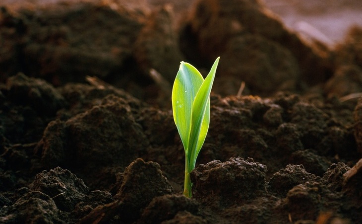 Якутская природоохранная прокуратура разъясняет о наличии обязанности по проведению рекультивации и консервации нарушенных земель