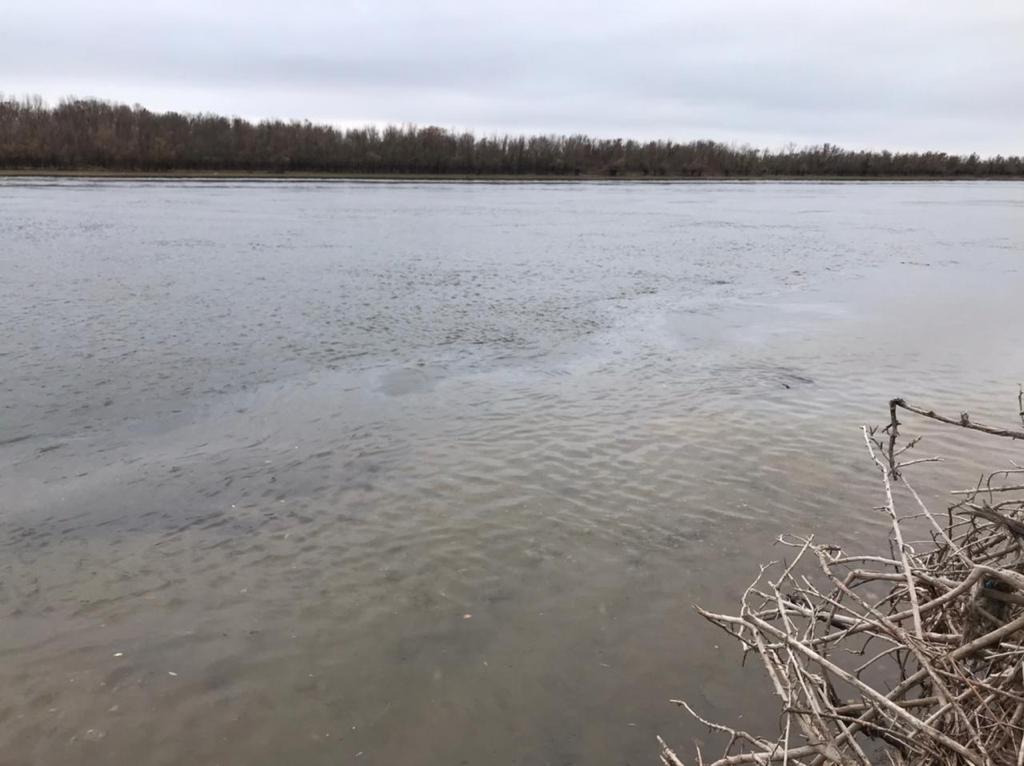 В Астраханской области инспекторы Росприроднадзора принимают меры после загрязнения нефтепродуктами реки Бахтемир 