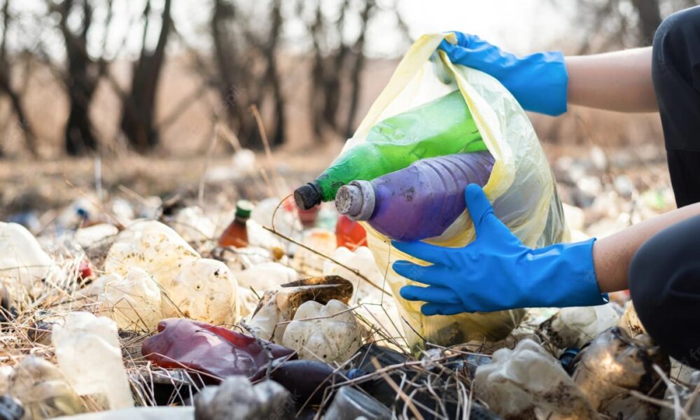 Администрации Никольского района Пензенской области предъявлен расчет размера вреда, нанесённого почвам на 482 млн рублей