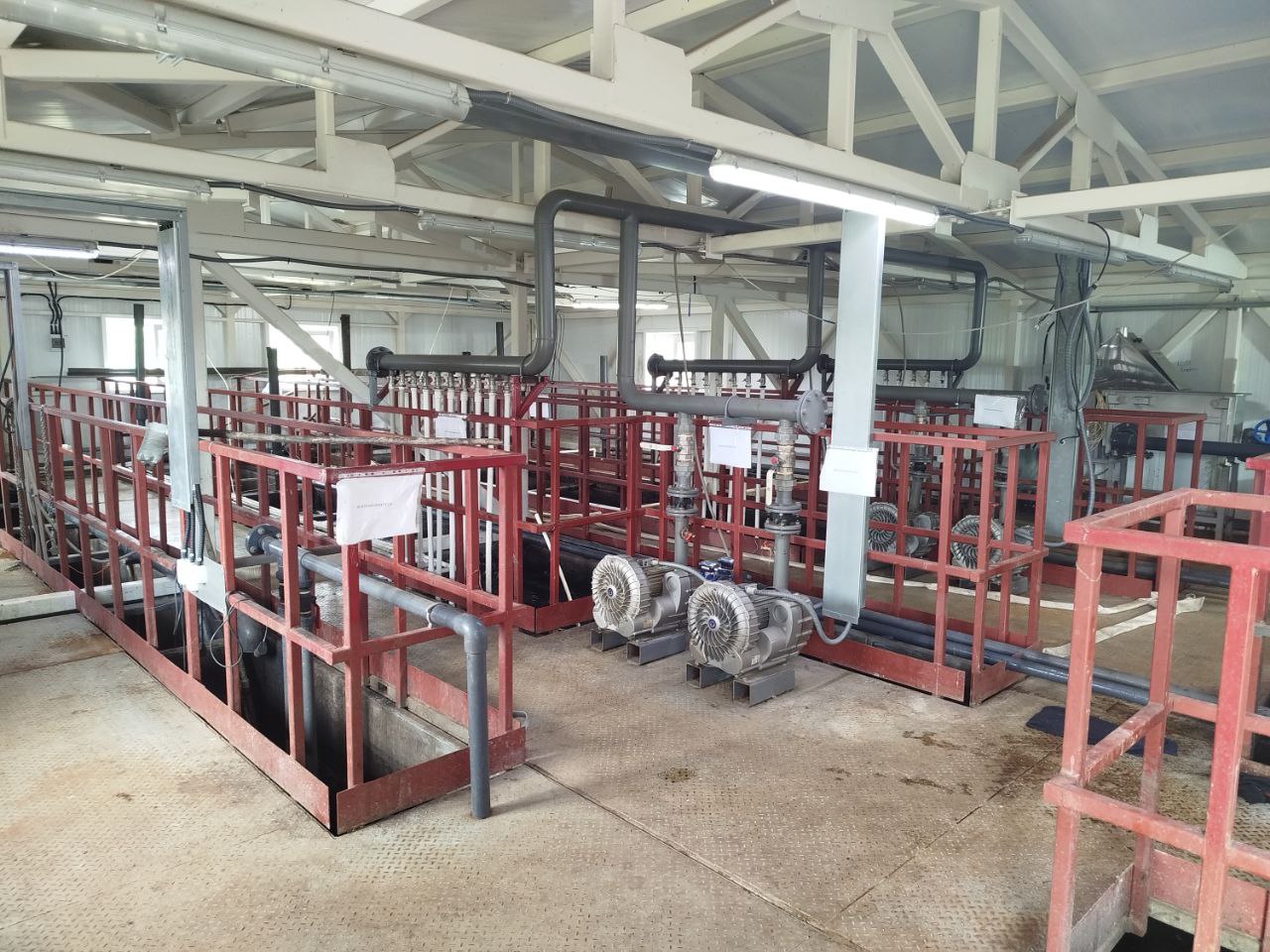 Сточные воды Семеновского горводоканала оказывают негативное влияние на реку Белбаж