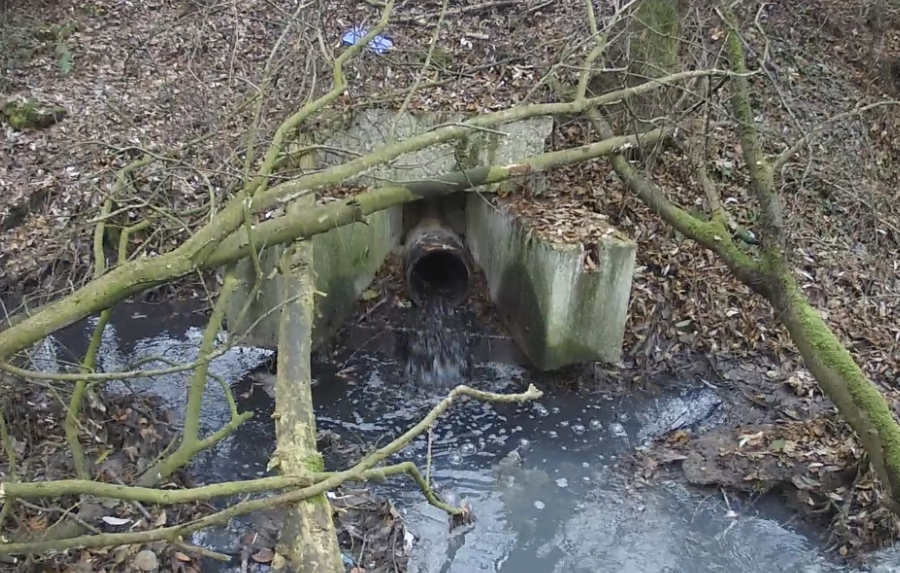 СЗМУ Росприроднадзора установило предприятие, сбрасывающее неочищенные канализационные стоки в п. Малое Васильково Калининградской области