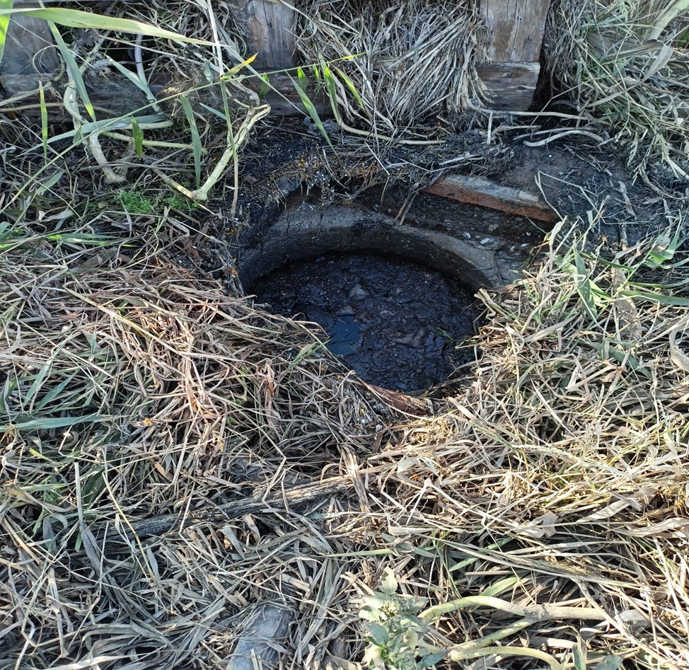 В Астраханской области Росприроднадзор привлёк к административной ответственности МБУ МО «Приволжский район» «Биом» по факту загрязнения почвы сточными водами  с предъявлением ущерба