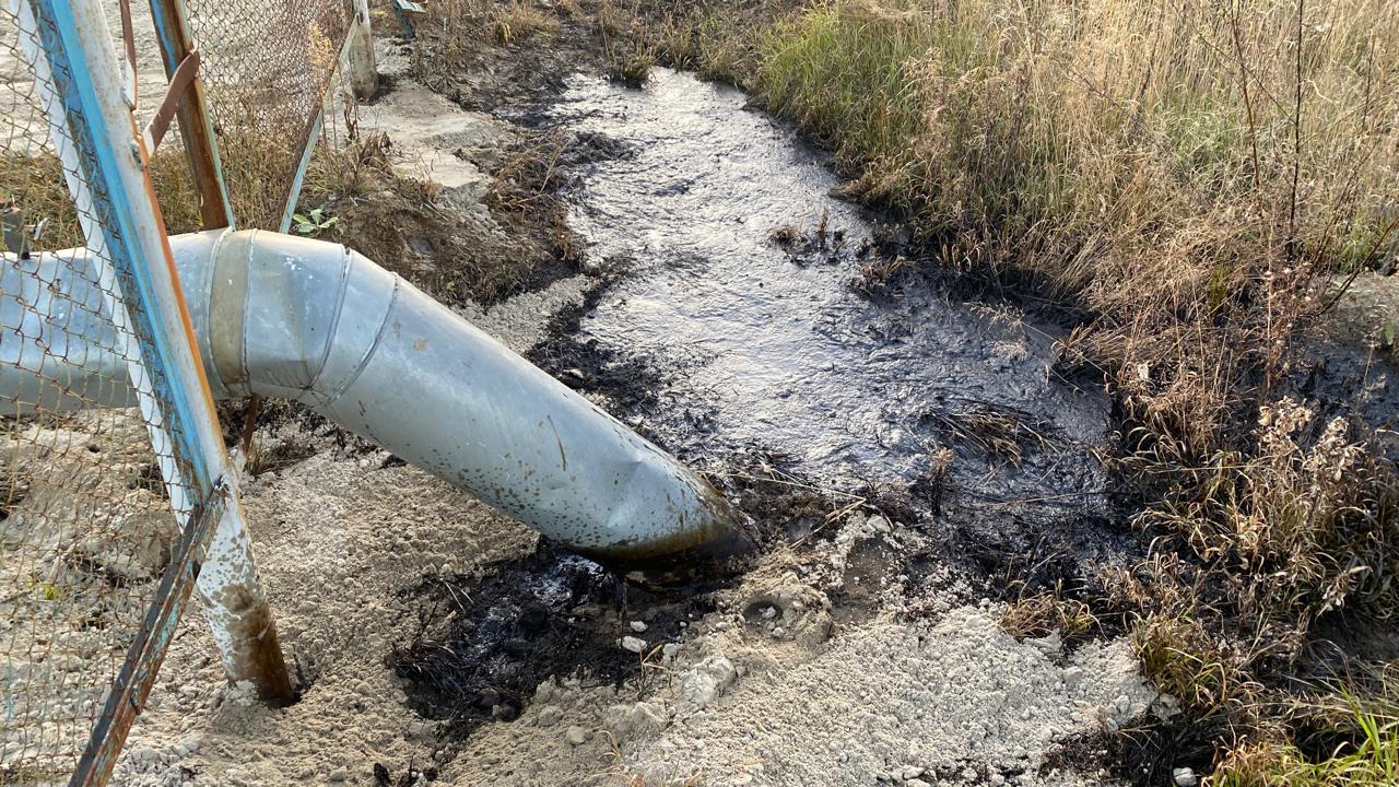 АО «Томскнефть» ВНК добровольно возместило вред почвам на сумму более 49 млн рублей
