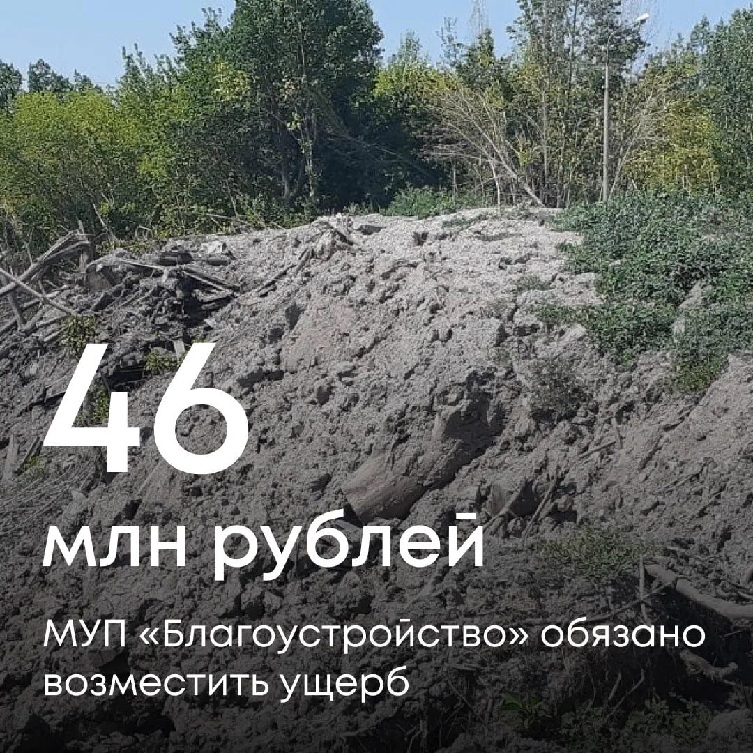 Суд поддержал требования Росприроднадзора и обязал МУП «Благоустройство» компенсировать 46 млн рублей вреда, причиненного почве из-за нарушения правил размещения снежных масс в Самаре