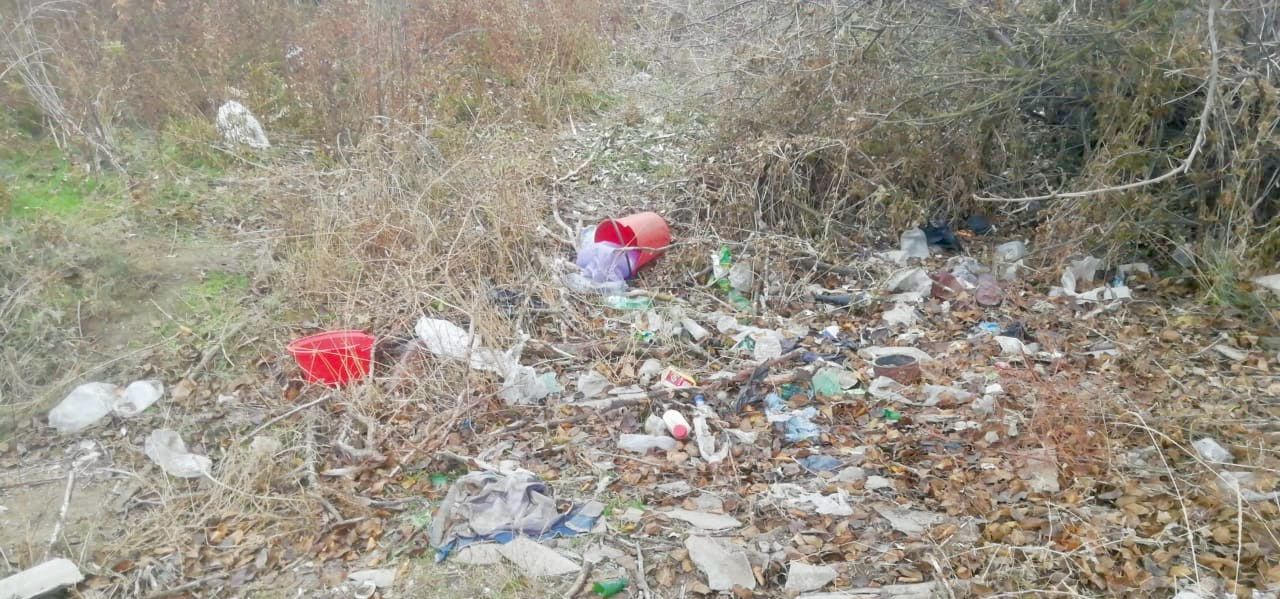 Трусовский районный суд г. Астрахани поддержал требование Росприроднадзора о понуждении АМО «Городской округ город Астрахань» к ликвидации несанкционированных свалок, расположенных на территории Трусовского района г. Астрахани