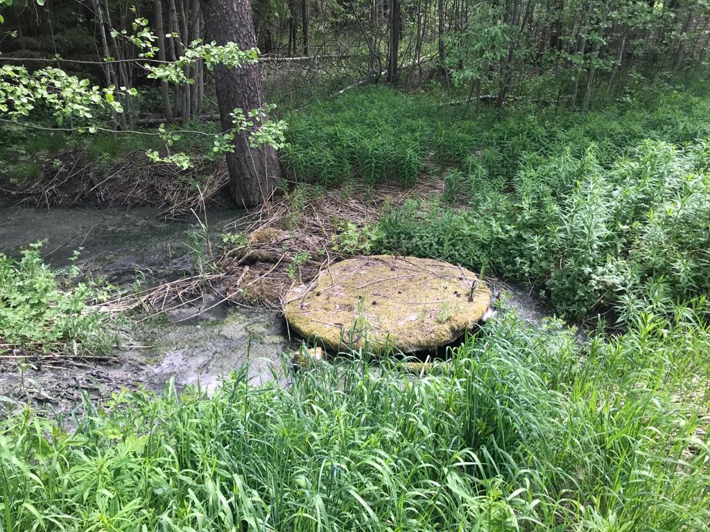 Росприроднадзор по СЗФО проводит проверку по факту сброса канализационных стоков в п. Заводской