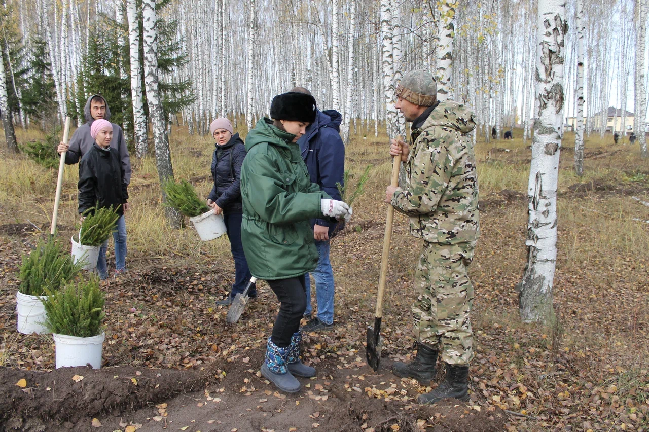 В Татарстане сотрудники Росприроднадзора приняли участие в посадке деревьев в рамках Всероссийской акции «Сохраним лес»