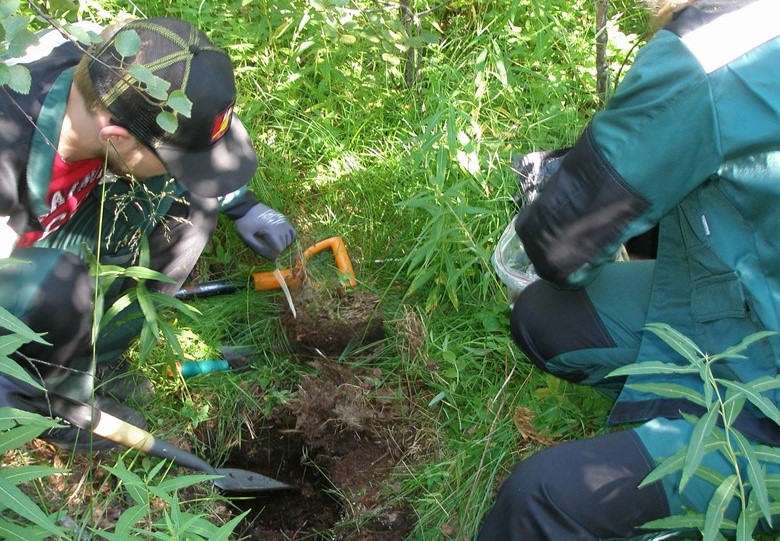 Администрация ЗАТО г. Заозерск возместила ущерб, нанесенный почвам, в размере > 4 млн.рублей