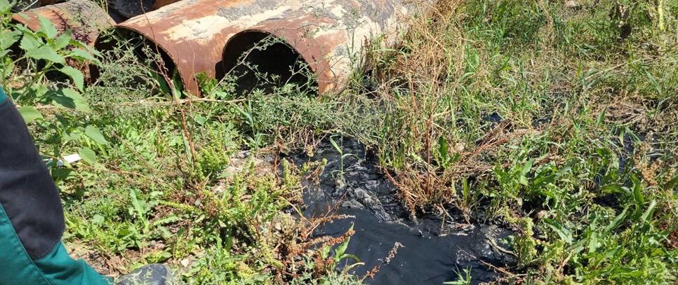 Суд поддержал требования Росприроднадзора о возмещении вреда почвам на сумму более 354 тыс.рублей