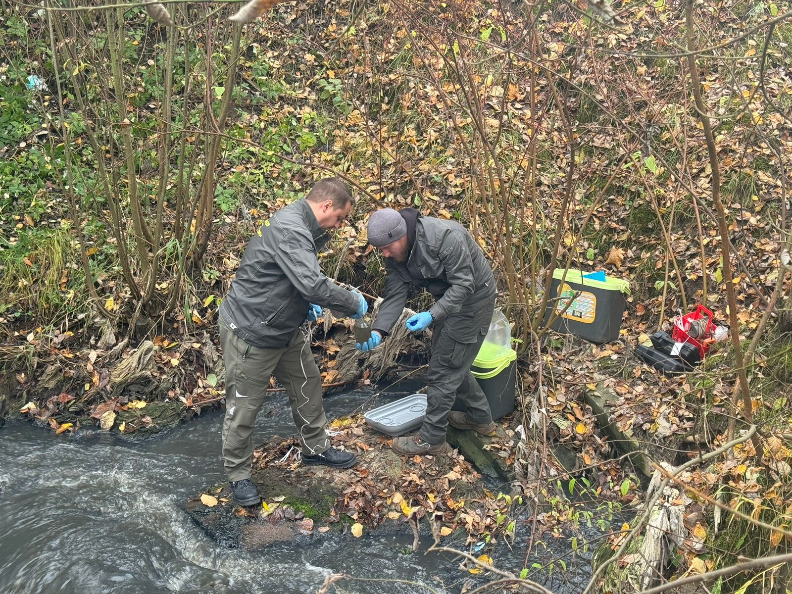 СЗМУ Росприроднадзора установило собственника выпусков, через которые происходит сброс канализационных стоков в Муринский ручей