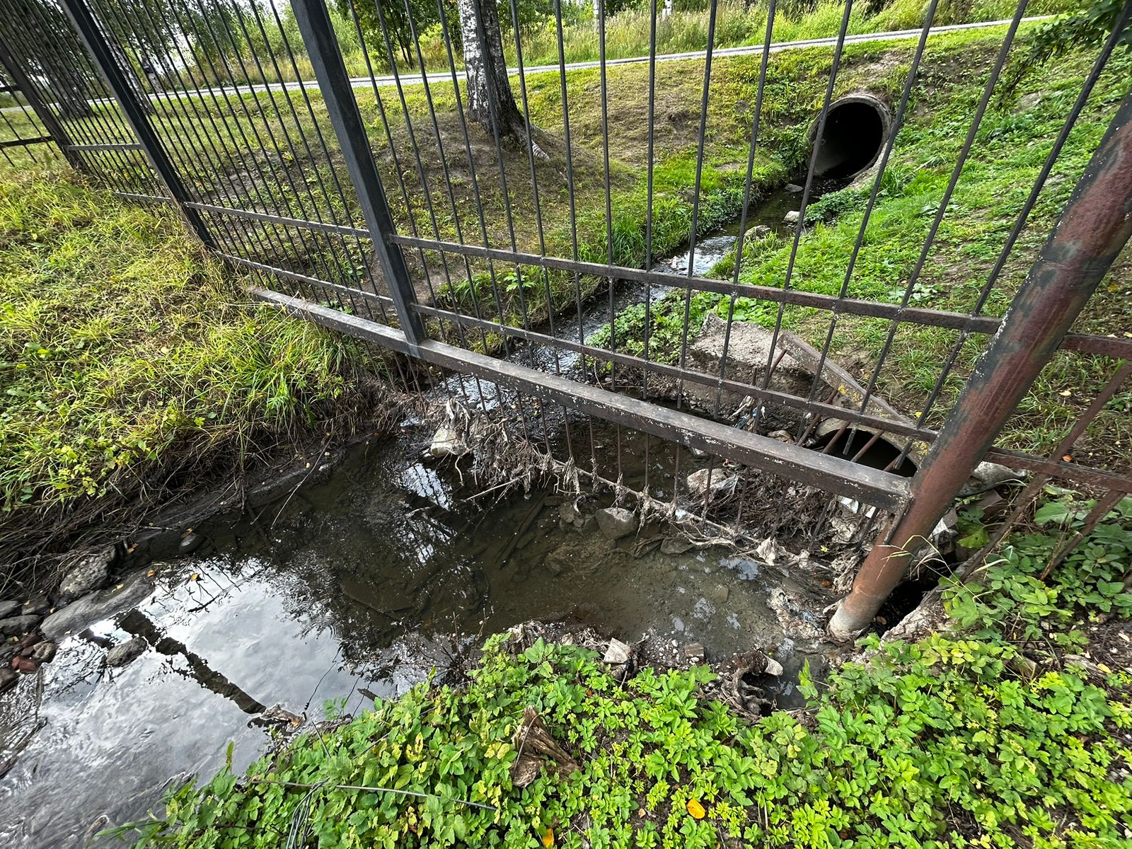 СЗМУ Росприроднадзора контролирует экологическое состояние реки Славянка после поступления сообщений о сбросе загрязненных стоков