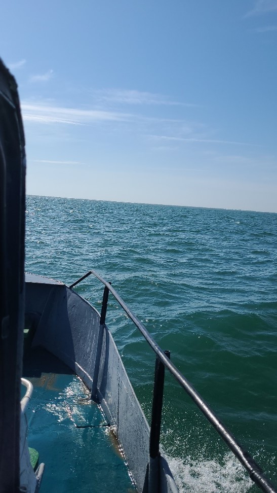 Росприроднадзор проводит мероприятия по охране водных (морских) биологических ресурсов, занесенных в Красную книгу