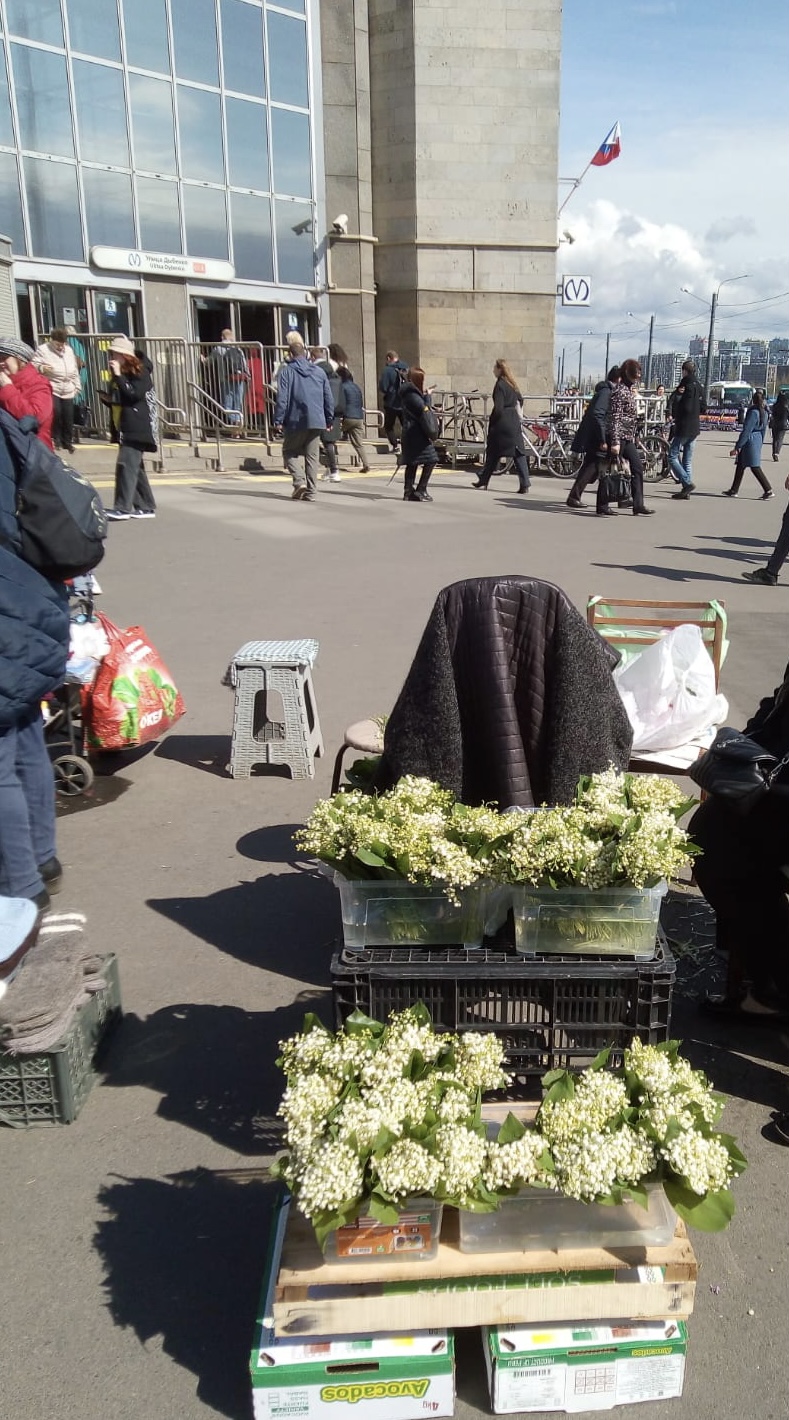 Пассажирам петербургской подземки напомнят о сохранении первоцветов  