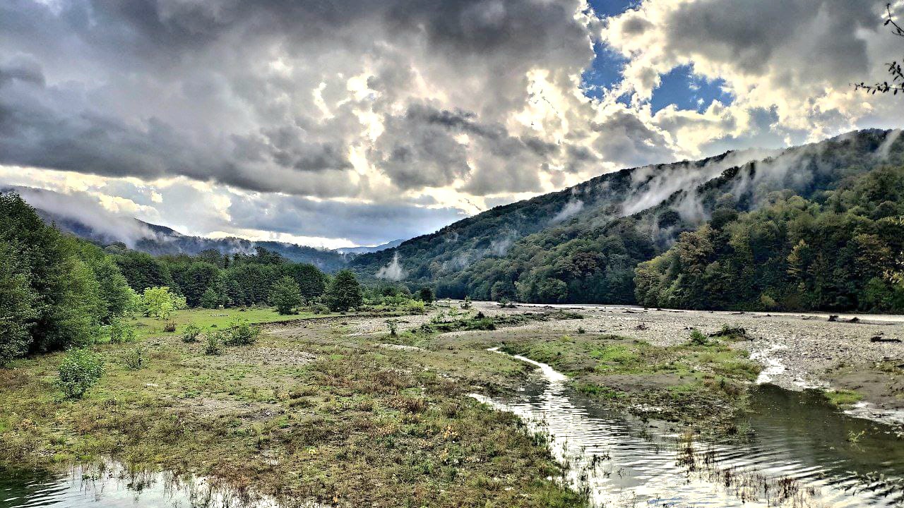 Южное управление Росприроднадзора проконтролировало выпуски молоди черноморской кумжи в естественную среду
