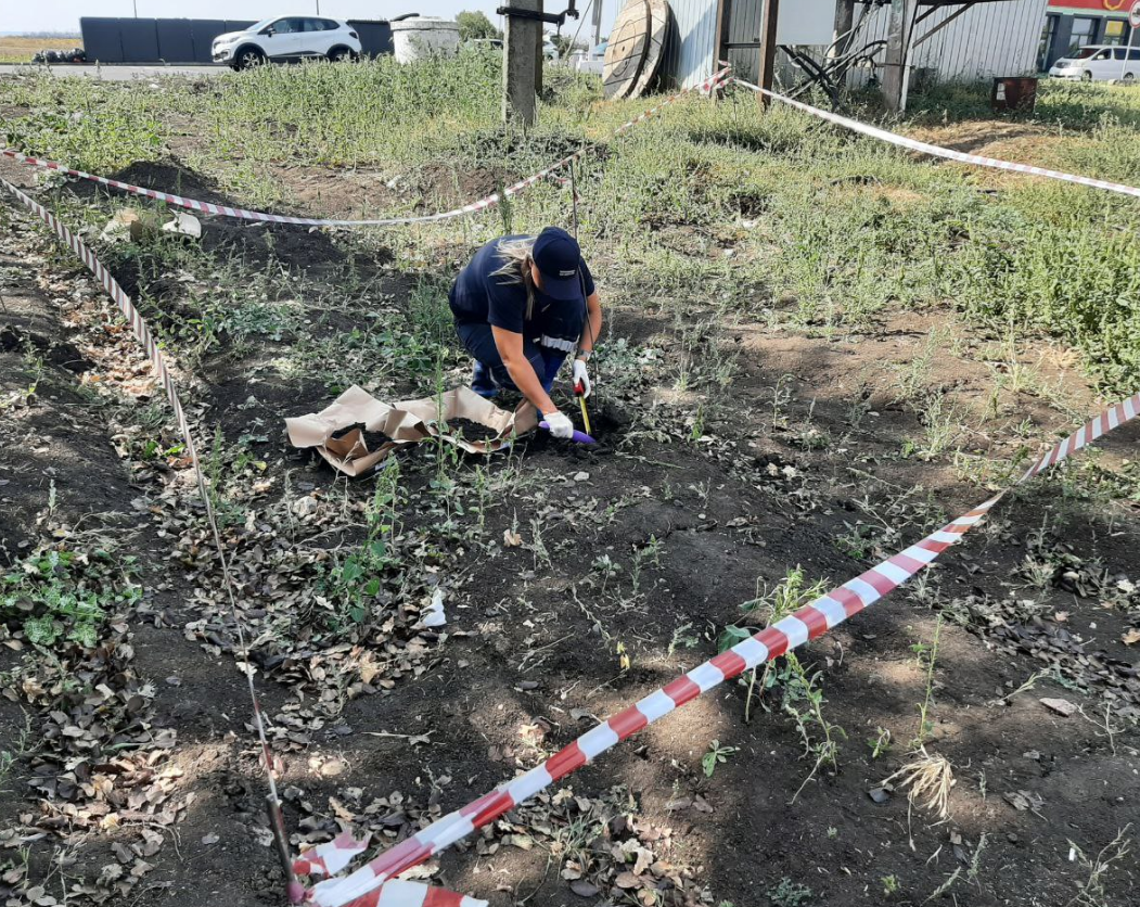 Центрально-Черноземное управление Росприроднадзора рассчитало вред, причиненный почвам в результате сброса канализационных стоков от кафе и АЗС на участок лесополосы трассы М-4 Дон в Воронежской области