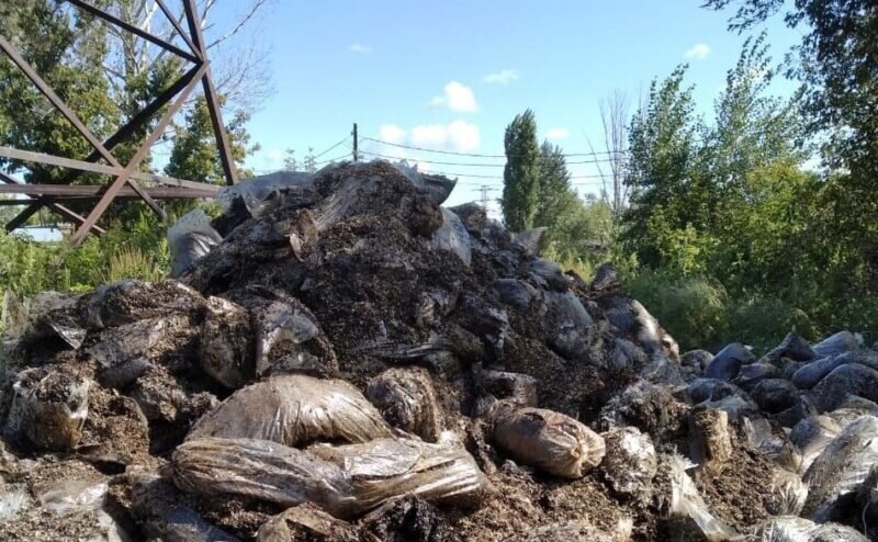 Росприроднадзор указал гражданину на недопустимость захламления земельного участка