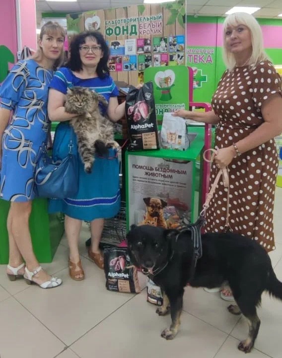 Сотрудники Приамурского межрегионального управления Росприроднадзора в рамках Всемирного дня бездомных животных приняли участие в благотворительной акции «Помощь бездомным животным»