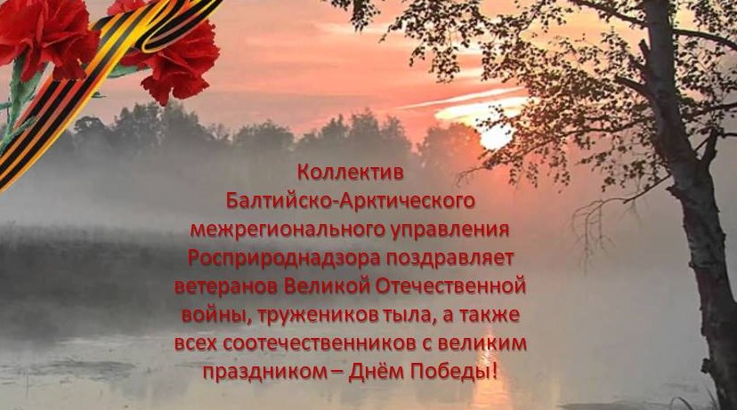 Сотрудники Балтийско-Арктического межрегионального управления Росприроднадзора подготовили видеопоздравление с великим праздником – Днём Победы!