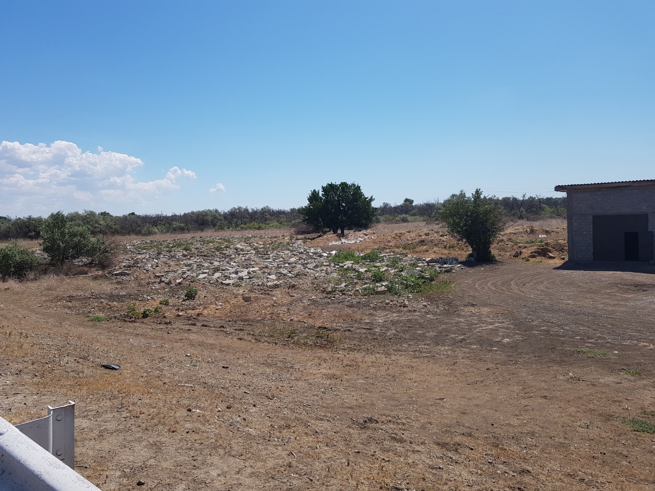 Апелляционная инстанция отменила решение об отказе в удовлетворении требований Росприроднадзора о взыскании с гражданина вреда, причинённого почвам 