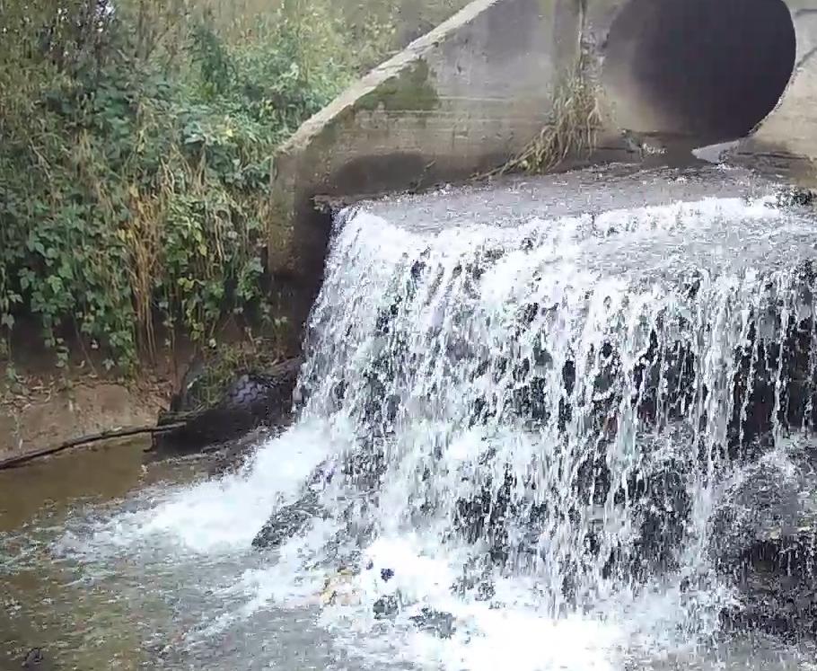 Росприроднадзор по СЗФО проводит проверку по факту сброса загрязненных стоков в реку Волхов