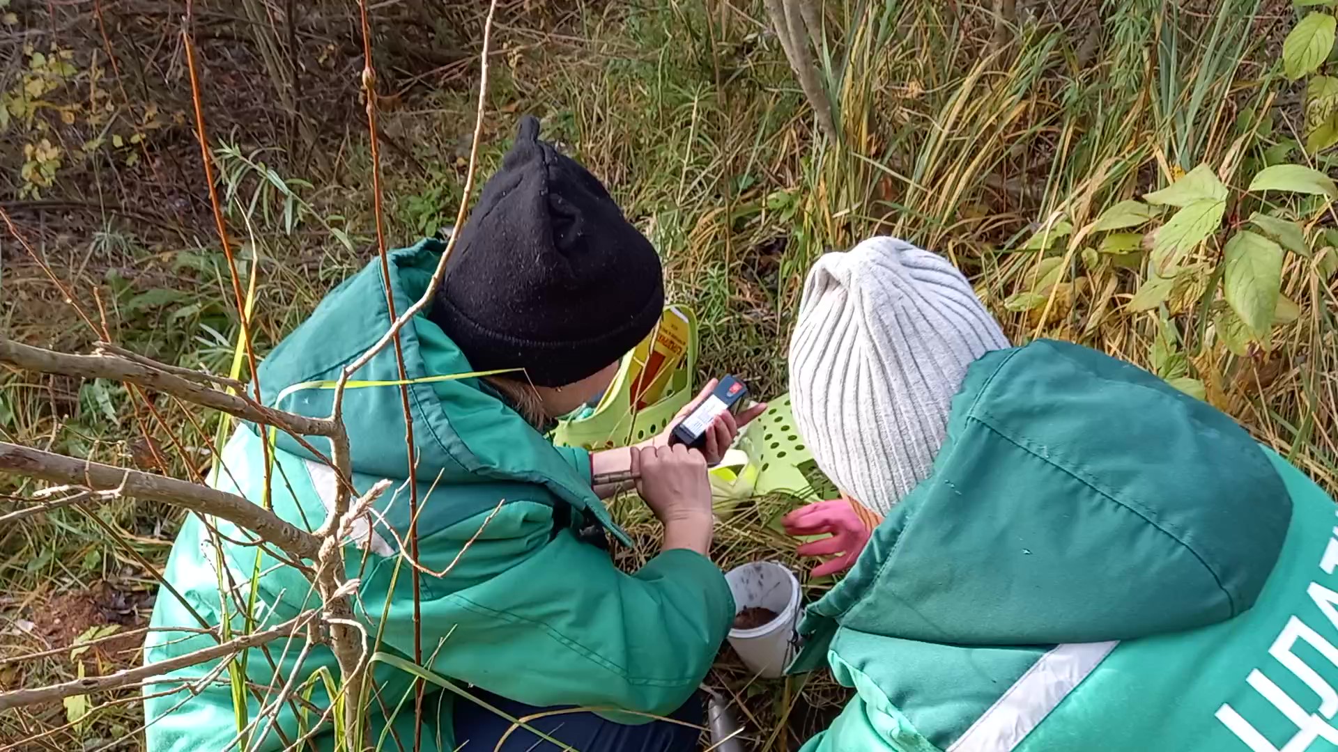 Росприроднадзор по СЗФО требует возместить вред, причиненный почвам в г. Острове Псковской области