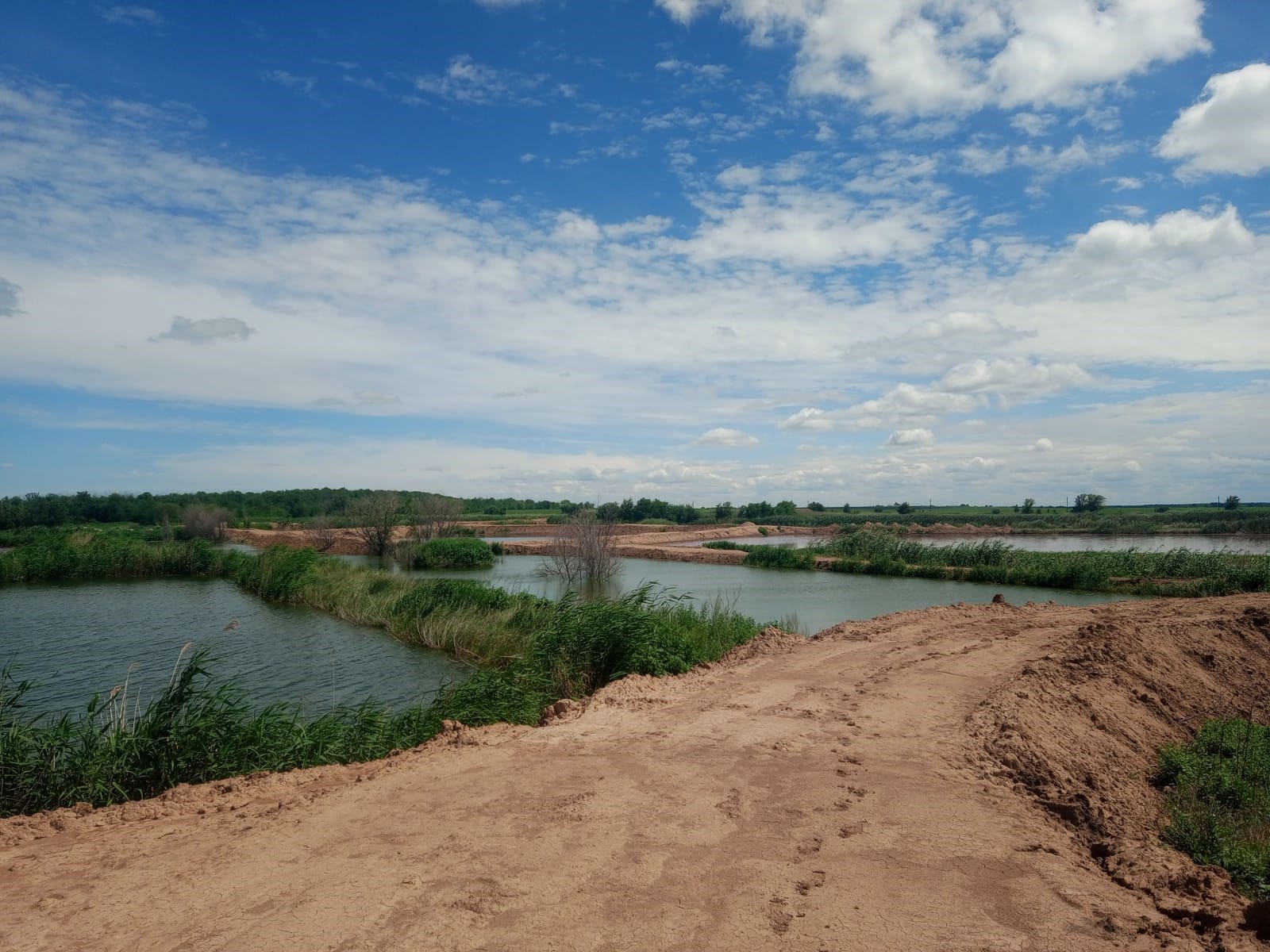 В Волгоградской области инспекторы Росприроднадзора приняли меры по факту загрязнения почвы на территории Еланского муниципального района Волгоградской области
