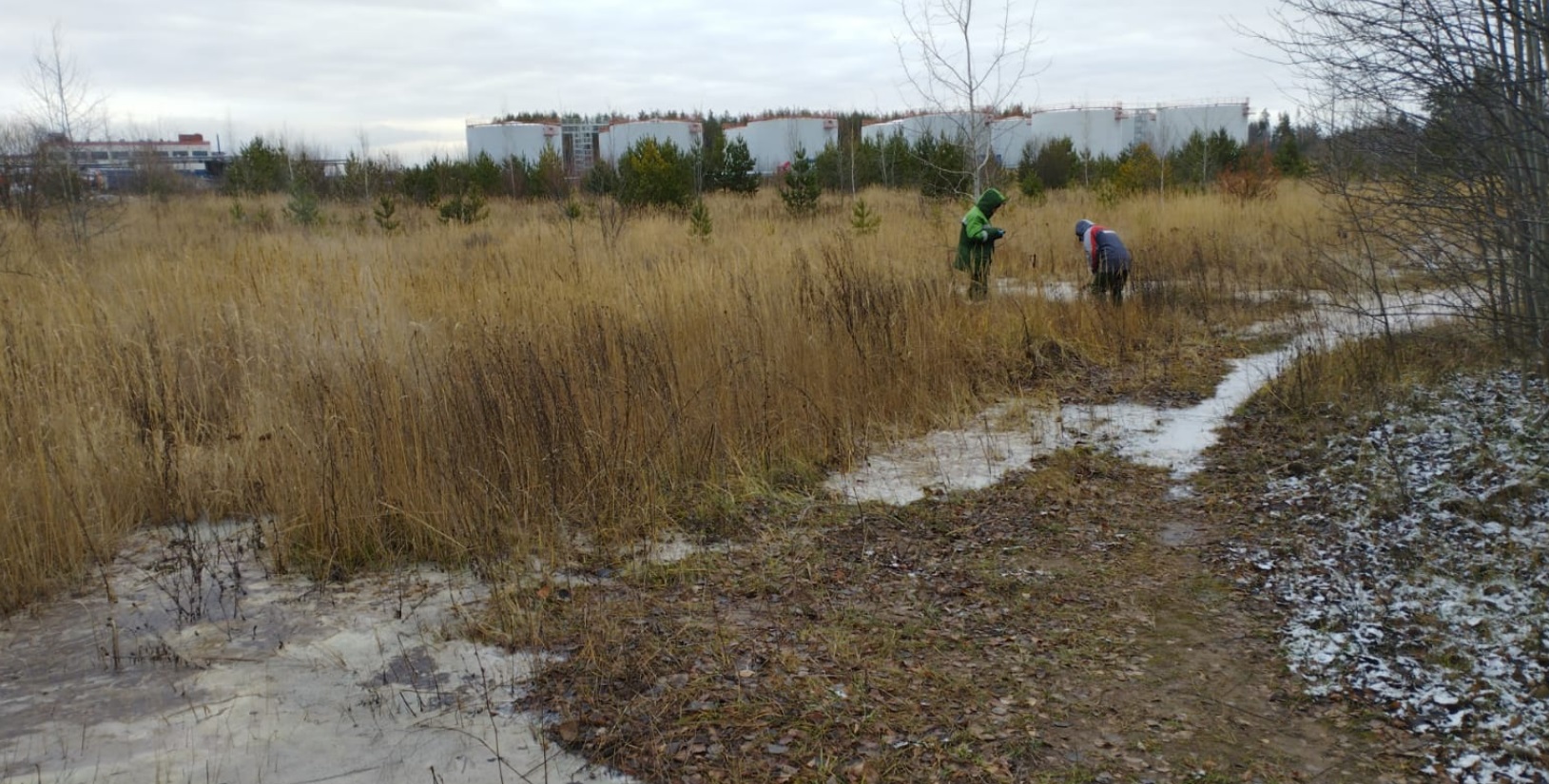 Арбитражный суд удовлетворил исковое требование Росприроднадзора к АО «Казанский жировой комбинат» о возмещении ущерба 2,9 млн. рублей
