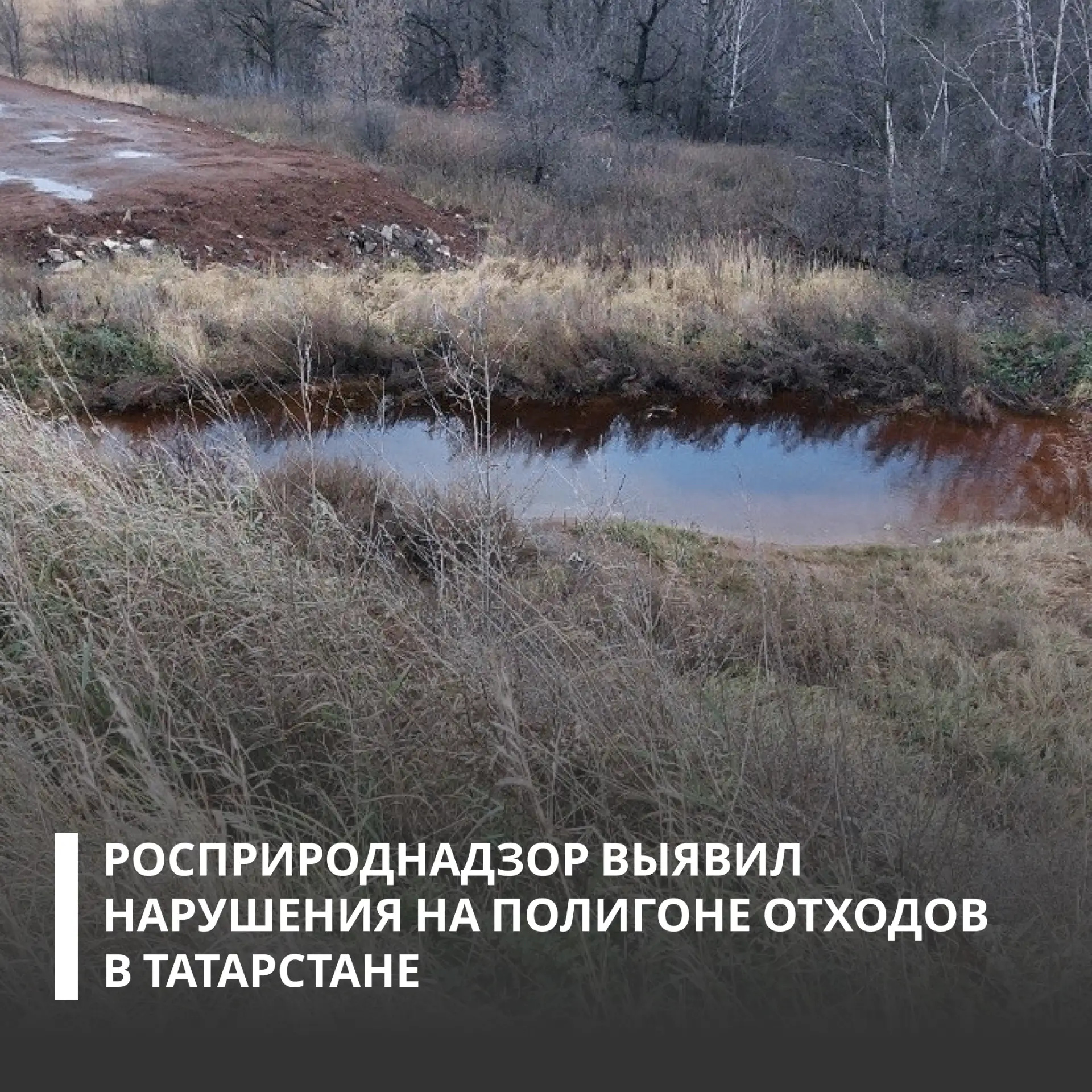 На полигоне ТБО и промышленных отходов зафиксировано загрязнение почвы. Предприятию предъявлено требование о возмещении вреда
