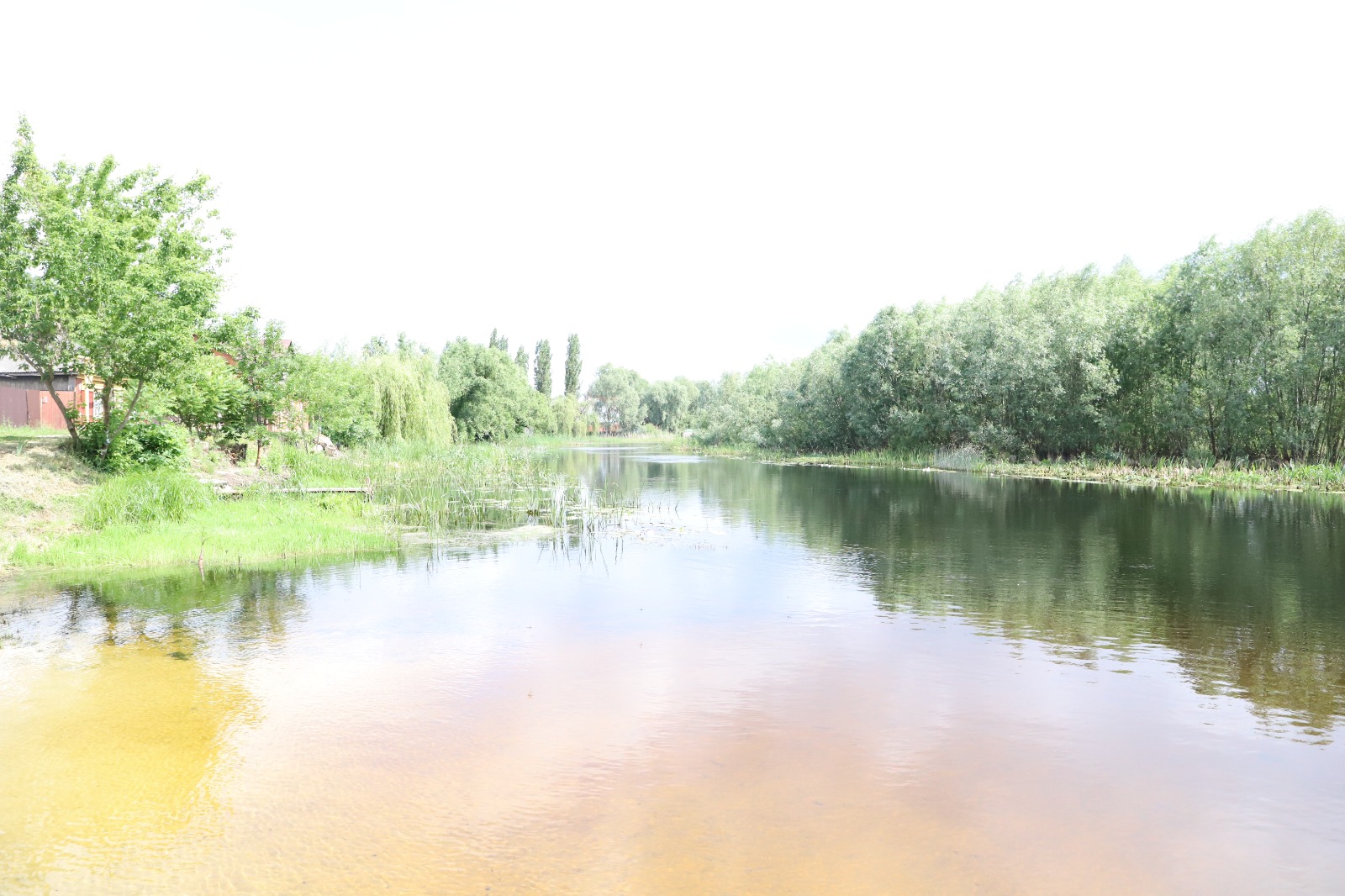 Центрально-Черноземное управление Росприроднадзора контролирует выпуск мальков краснокнижной стерляди в реку Битюг Воронежской области