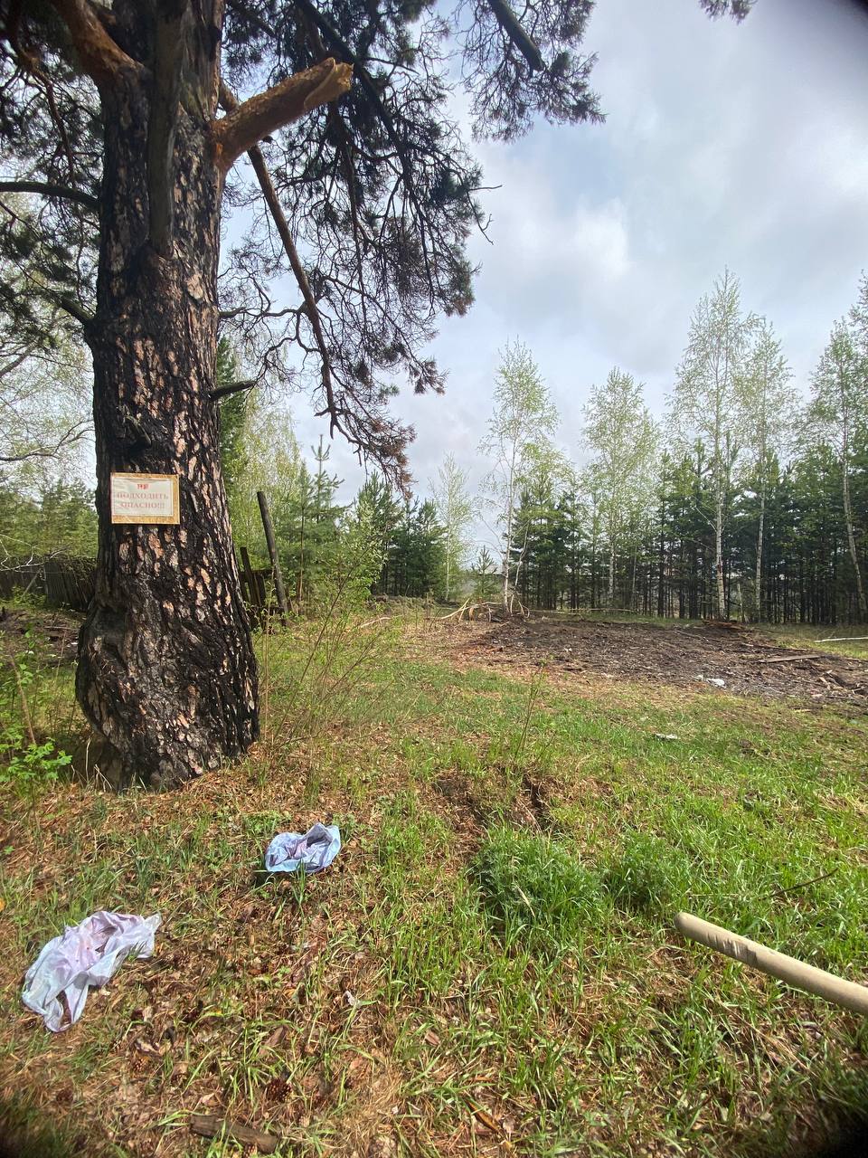 В Иркутской области нанесен вред почвам на сумму более 10 млн рублей