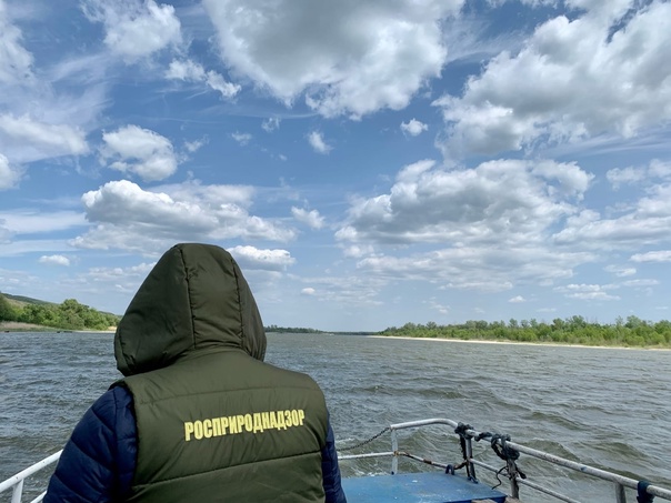 Росприроднадзор направил АО «Ростовводоканал» требование о взыскании платы за НВОС в размере почти 200 млн