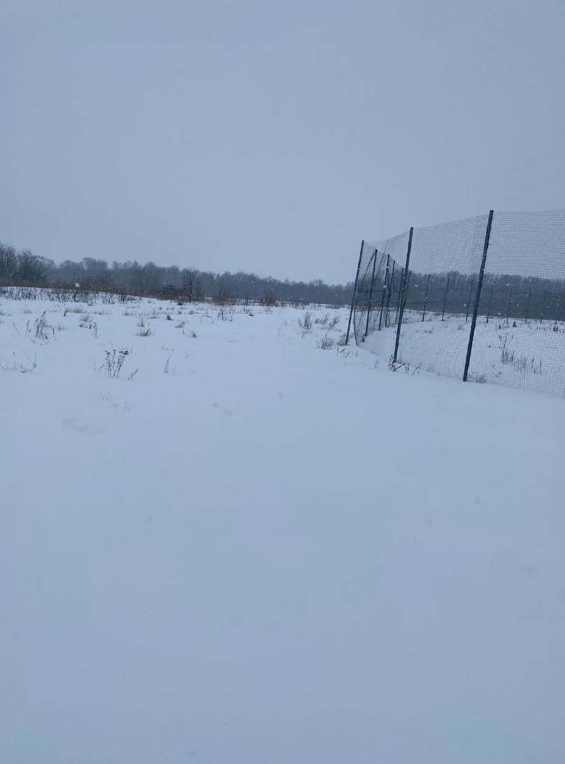 В ходе внеплановой выездной проверки в отношении МУП «Комсервис» г. Ливны установлено, что предписание выполнено не полностью