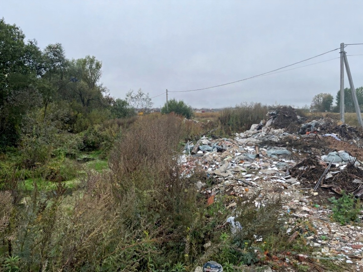 Росприроднадзор взыскивает с жителя Нижегородской области более 1,9 млн. рублей за ущерб, причиненный окружающей среде 