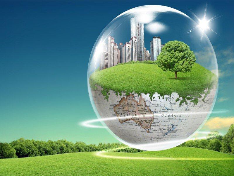 Об организации государственной экологической экспертизы 