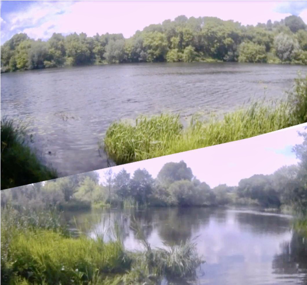 В результате обследования акватории и водоохранной зоны рек Сосна и Кшень в границах Сергиевского сельского поселения Ливенского района Орловской области нарушений не выявлено