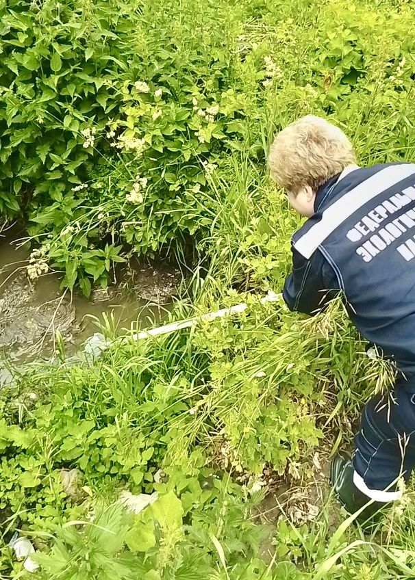 В результате ряда выездных обследований выявлен факт причинения вреда реке Шача Шацкого района Рязанской области в результате сброса неочищенных сточных вод