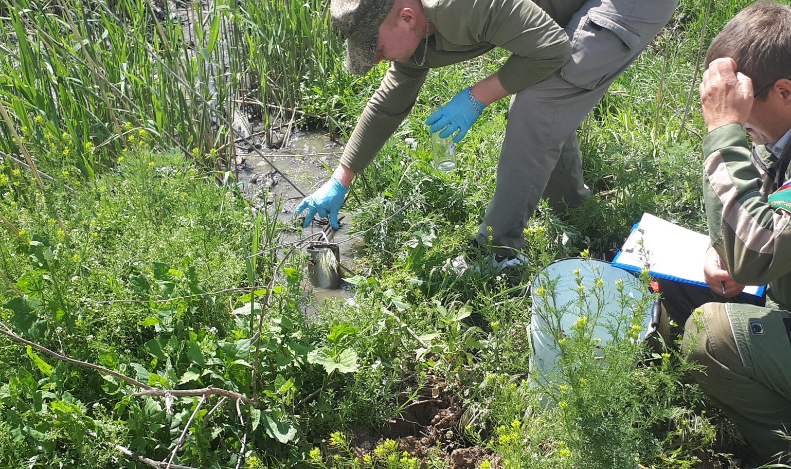 Двенадцатый арбитражный апелляционный суд поддержал исковые требования Росприроднадзора к МУП «ЖКХ Городищенского района» о возмещении вреда почвам, в размере 14 853 477,6 руб