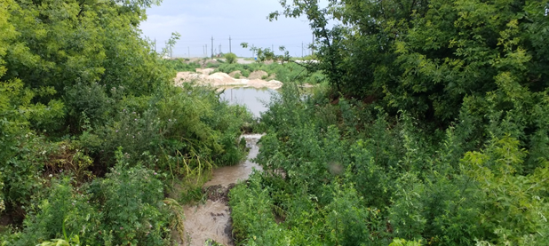 Росприроднадзор требует с ООО «Русагро-Белгород» добровольно оплатить более 1,7 млн руб. за вред почвам от стоков с площадки накопления и хранения дефеката