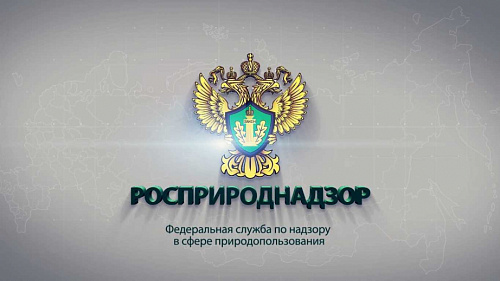 Росприроднадзор разъясняет особенности разрешительной деятельности в Российской Федерации в 2022 году
