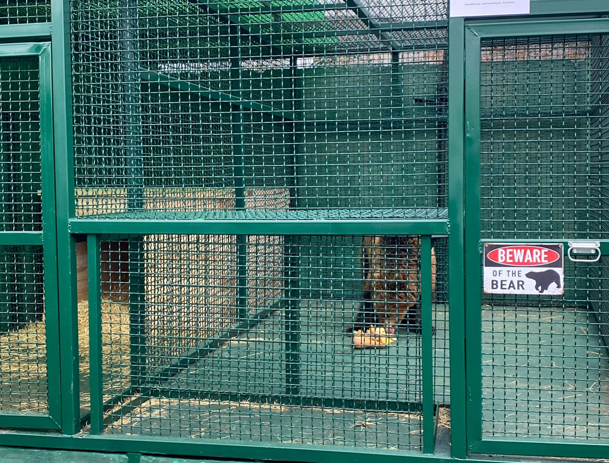 Росприроднадзор принял участие в церемонии открытия нового вольера для медведицы в Челябинске