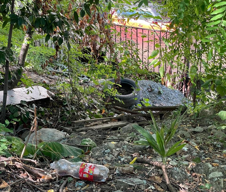 Суд удовлетворил требования Росприроднадзора о взыскании суммы вреда окружающей среде с администрации г. Сочи