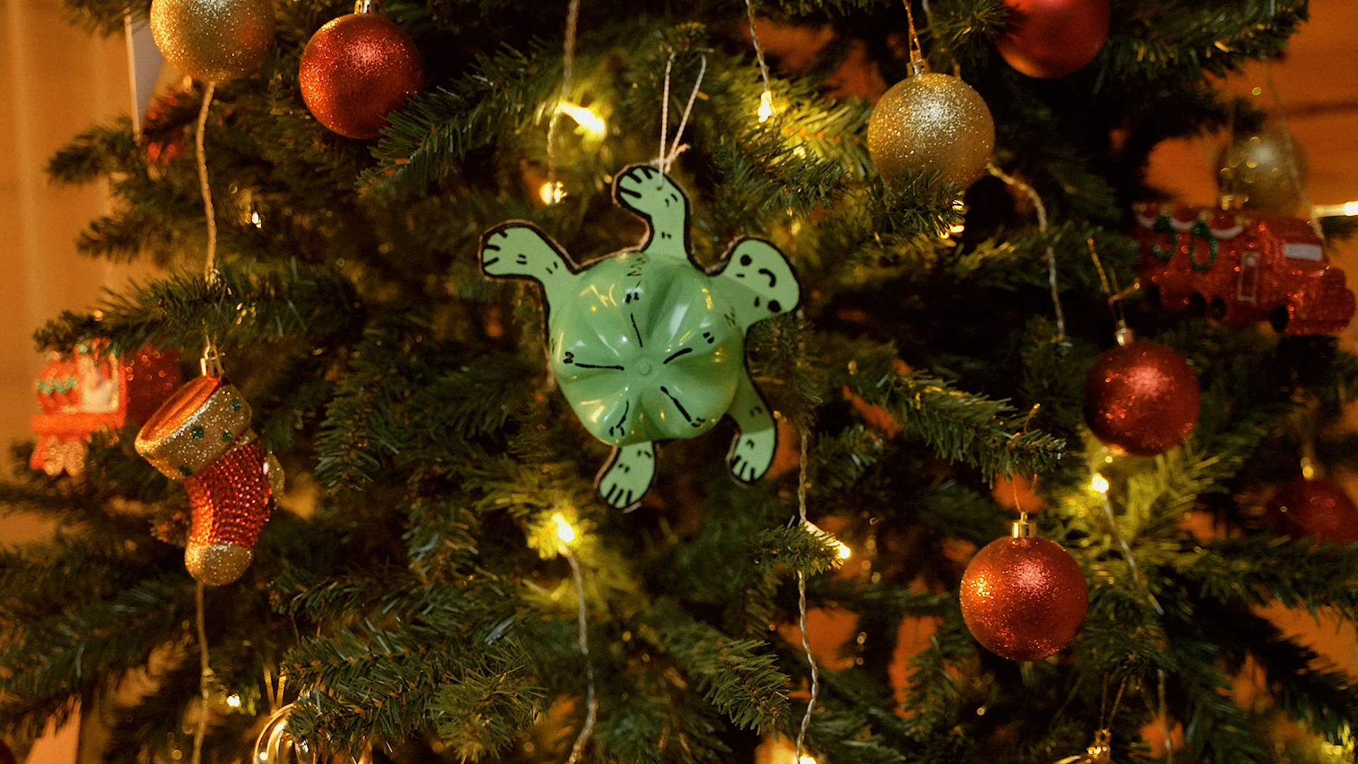 Стартовала ежегодная акция Росприроднадзора «Экоёлка»