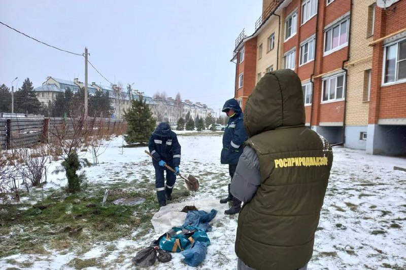 Специалисты Верхне-Волжского управления проверили информацию о загрязнении почвы в деревне Полесье Ярославской области